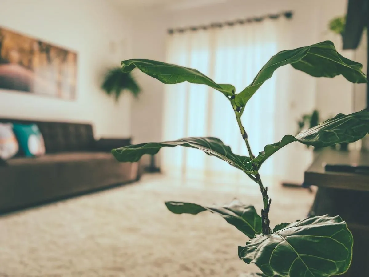 Apartamento urbano no coração de Pomerode Apartamento Brasil